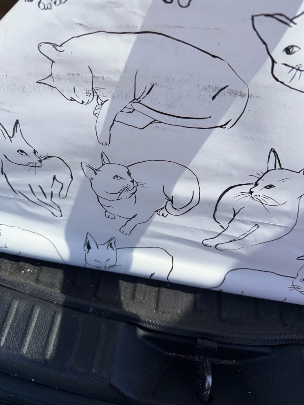 Anthropologie Black and White Cat Sketch Wallpaper